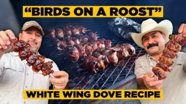 BIRDS ON A ROOST – Opening Day Dove Hunt & Grill Recipe with Jaime Perez (Jalapeño Dove Poppers)