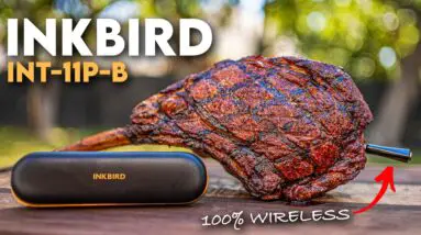 BBQ Game Changer! Testing out the NEW Wireless INKBIRD INT-11P-B #INKBIRD #bbqtools #bbqtips #bbq