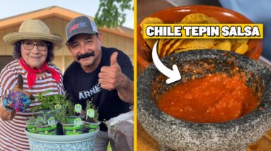 Growing a Salsa de Chiletepín in our own Backyard (Chile Tepin Salsa Recipe with Bonnie Plants)